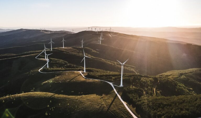 7 Renewable Energy Facts — How You Can Care of Our Planet Right Now